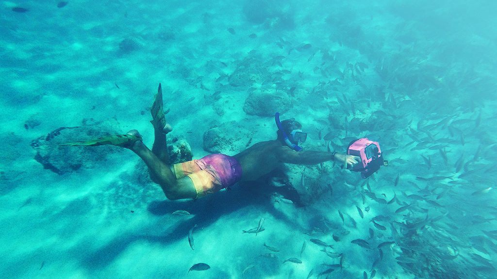 Disfruta con @shangerdanger de unas vacaciones inolvidables y del mejor buceo en Aruba.