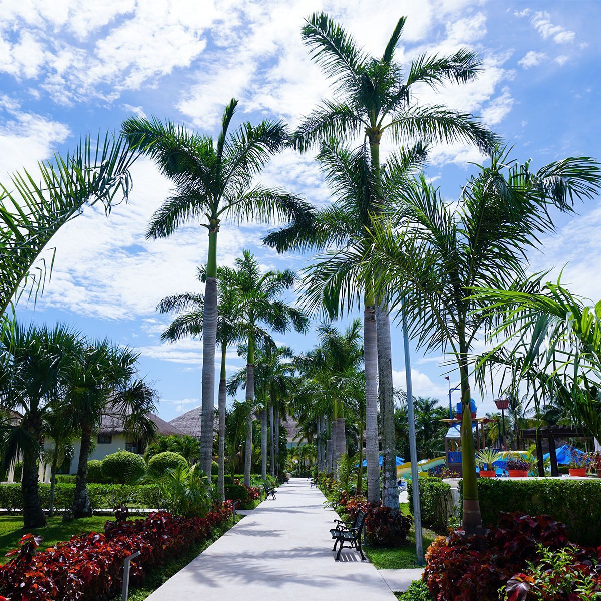 Os melhores sítios para visitar em umas férias no Caribe: Cozumel
