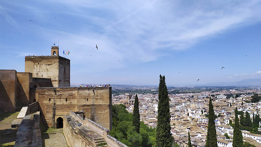 Torre de la Vela