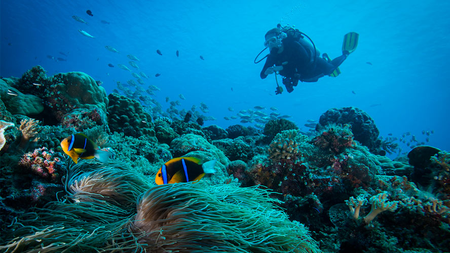 buceo lanzarote
