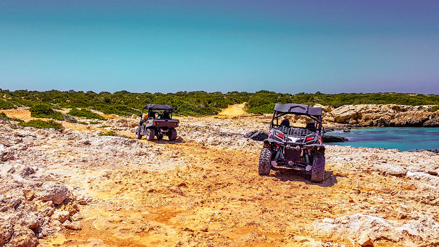 buggie lanzarote