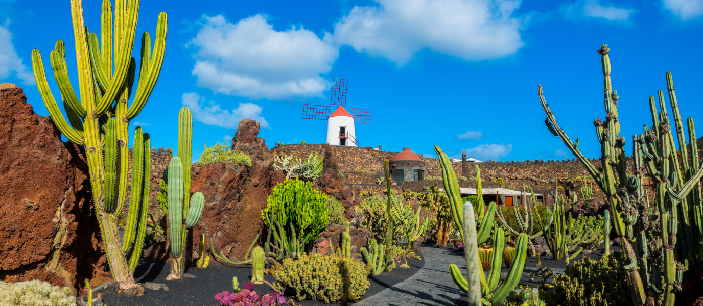 El Jardín de Cactus, la huella definitiva de César Manrique