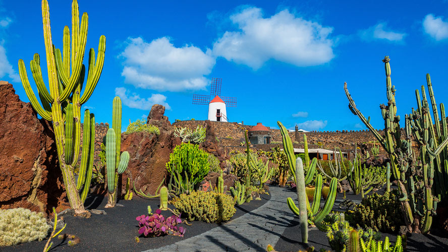 jardin de cactus_lanzarote