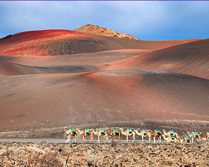 A group trip to Lanzarote