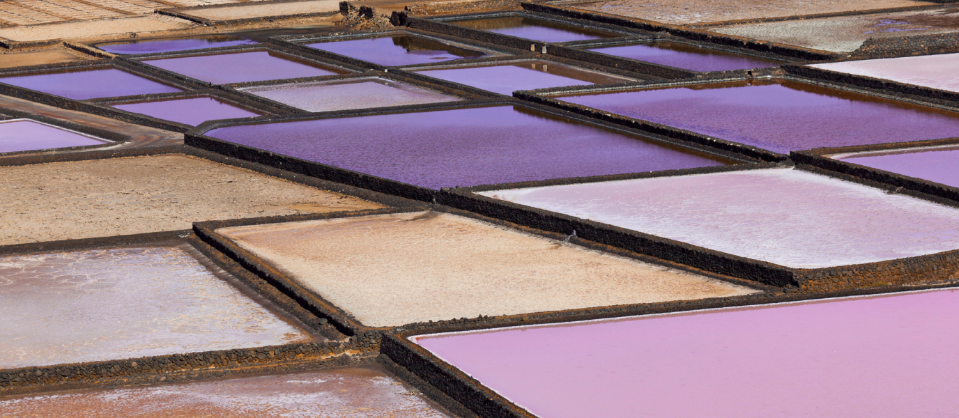 Salinas de Janubio, el jardín de la sal