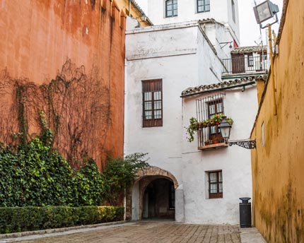 The Santa Cruz neighbourhood: a beautiful labyrinth