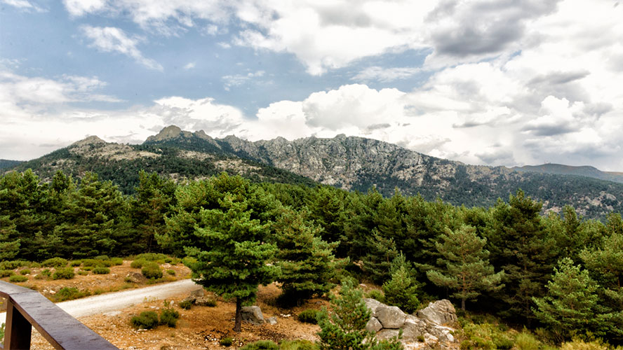 cercedilla