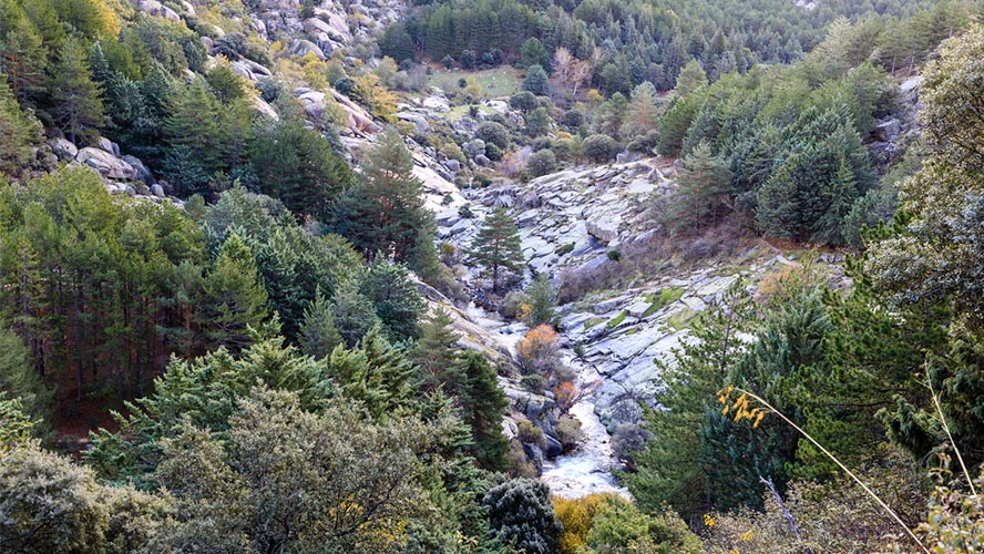 la-pedriza-sierra de guadarrama