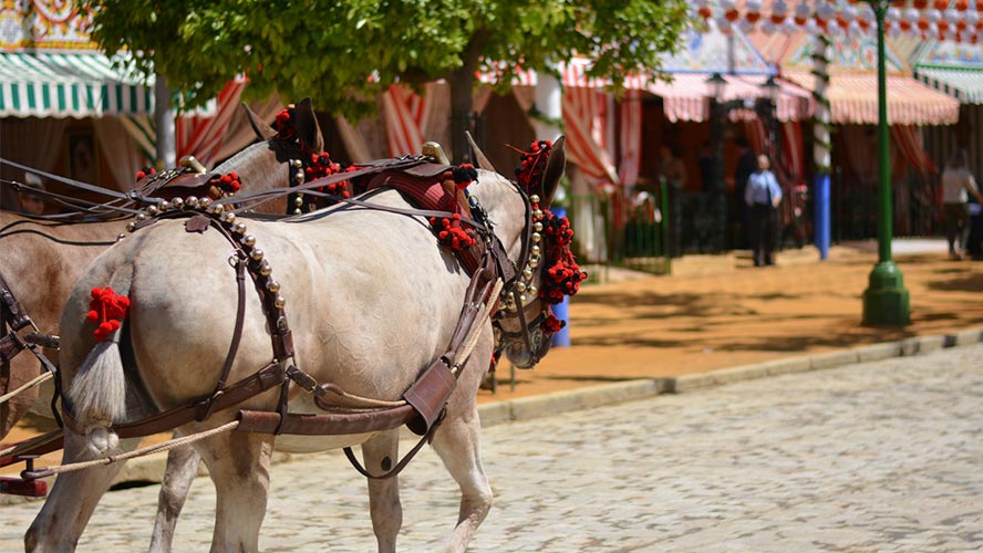 sevilla_feria de abril