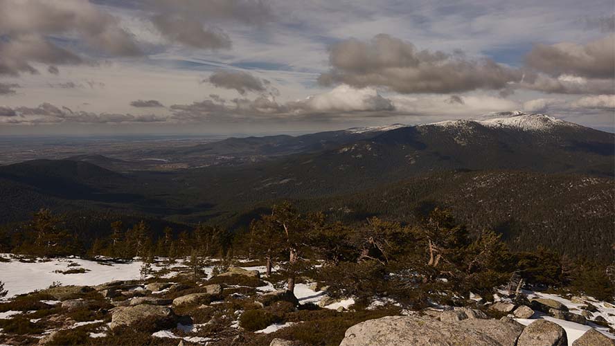 Montes de Valsaín