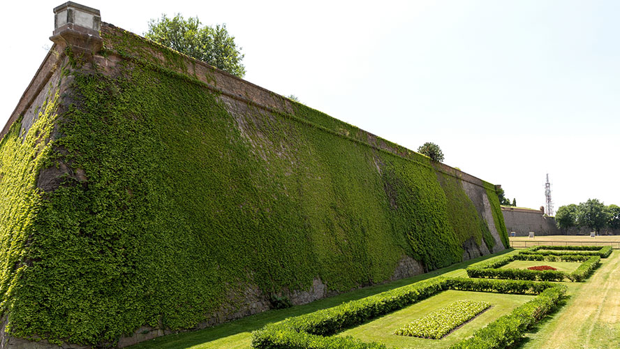 Muralla del Castillo de Montjuic