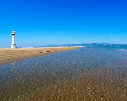 Delta del Ebro, el mayor humedal del Mediterráneo