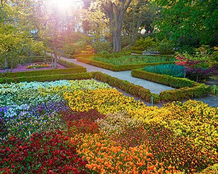 Botanico garden