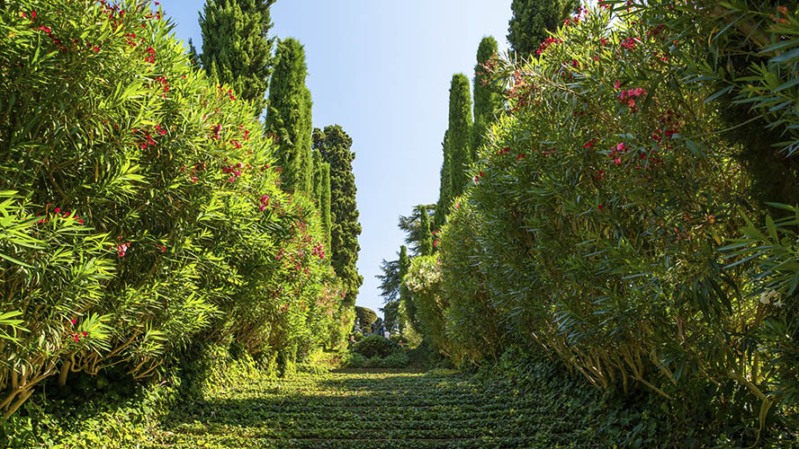 Jardines de Santa Clotilde