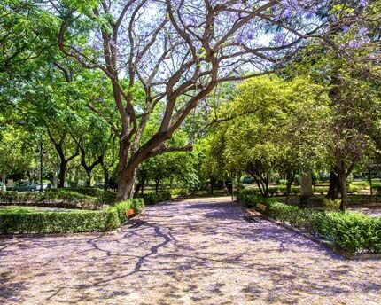Jardines de Viveros de Valencia, el parque más antiguo de la ciudad