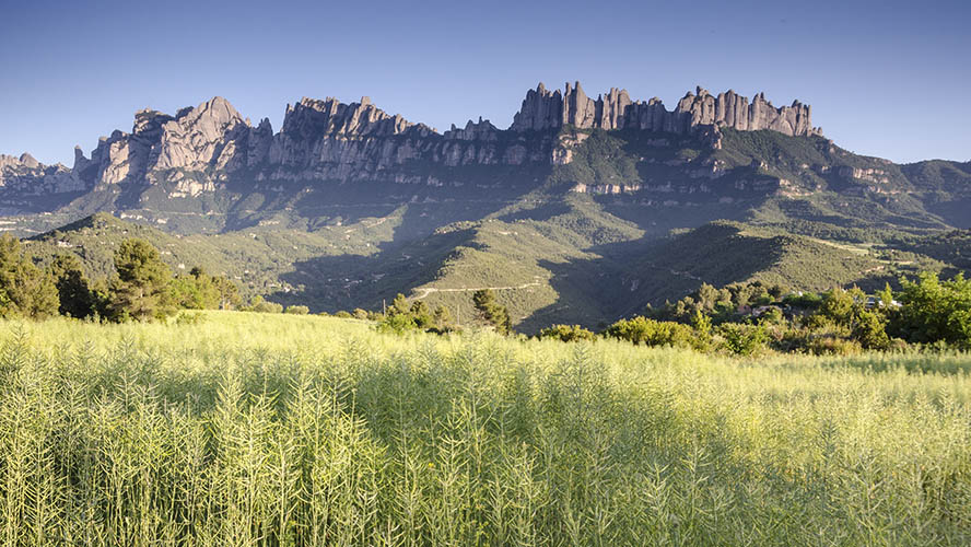 La montaña de Montserrat