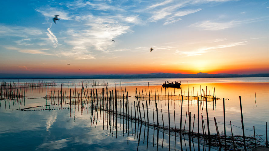 Ruta con niños por La Albufera de Valencia: inolvidable...