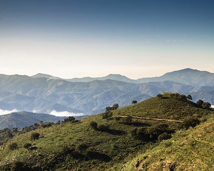 Montes de Málaga, el parque natural que venció a las riadas