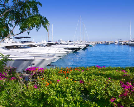 Puerto de Portals, the marina of the celebrities