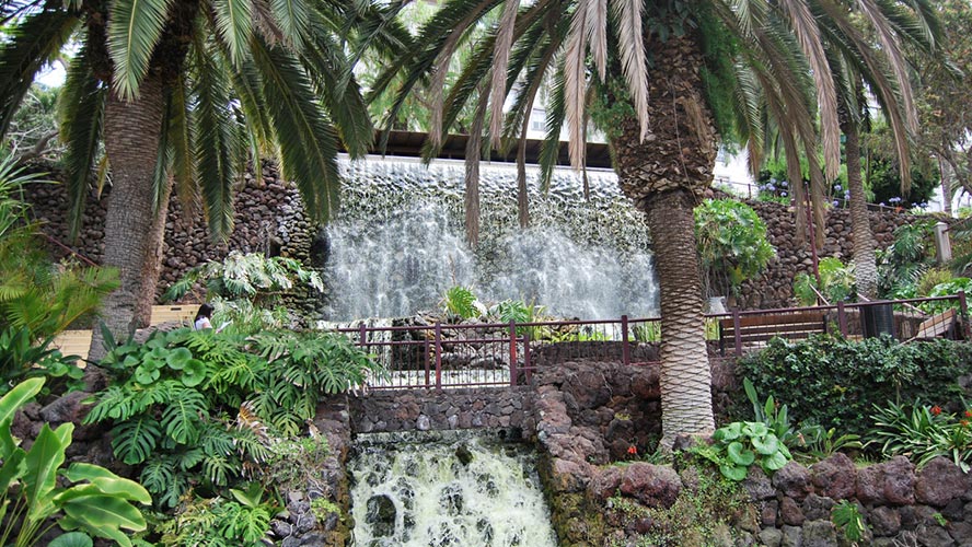 jardin botanico tenerife