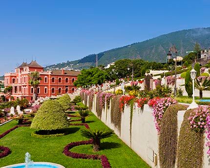 Everything there is to see in La Orotava