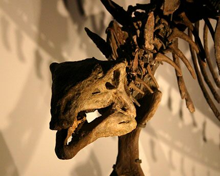 The Jurassic Museum Of Asturias A Journey To Prehistoric Times
