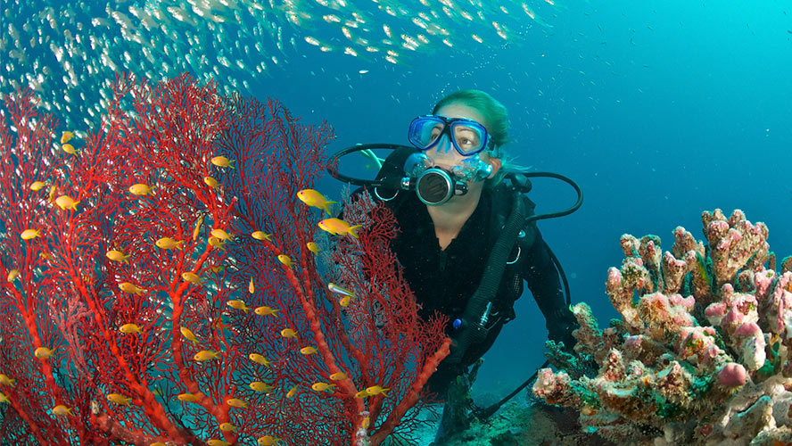 tenerife-submarinismo