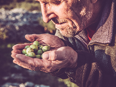 Aceitunas de Campo Real