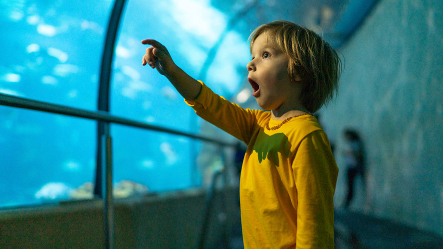 acuario de gijon