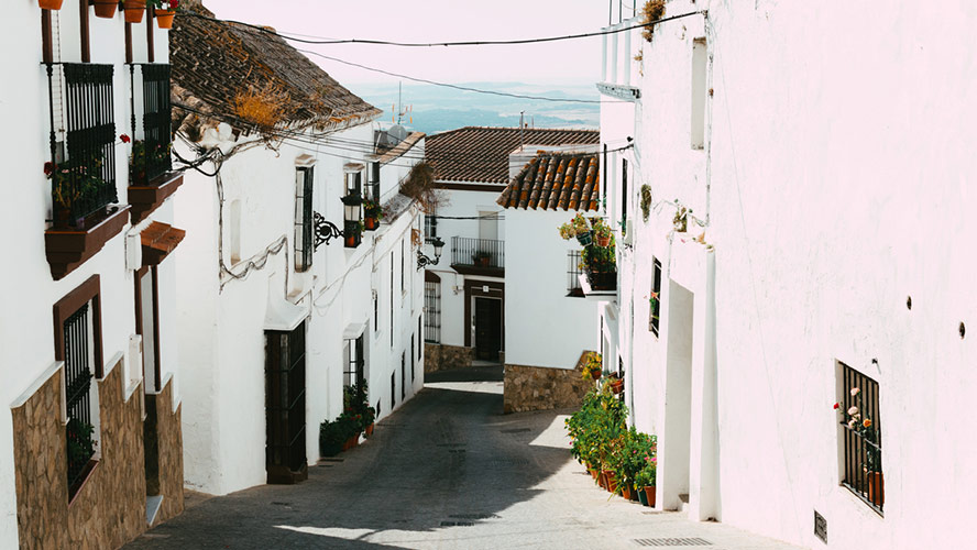 cadiz_medina sidonia_