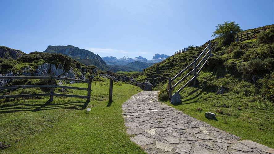 Sendero en el Lago de Covadonga