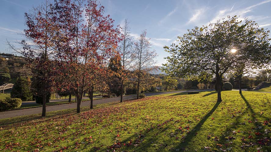 Parque de Invierno