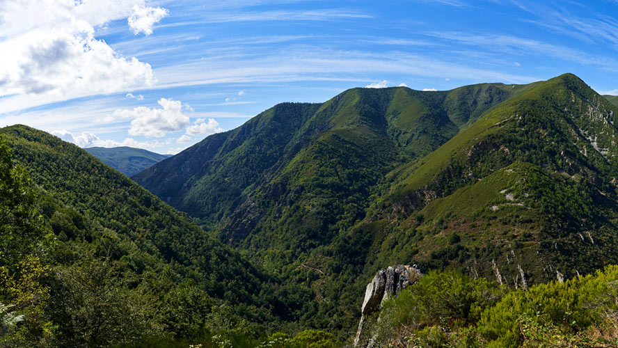 parque natural de redes