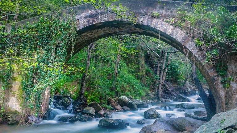 Foto de Los Alcornocales en Castellar de la Frontera, Cádiz