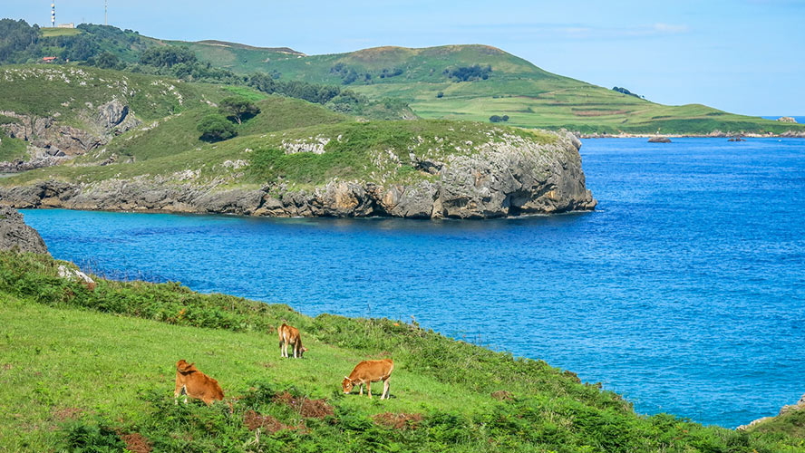 playa de troenzo