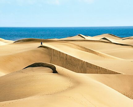 Dunes: a mini desert by the sea