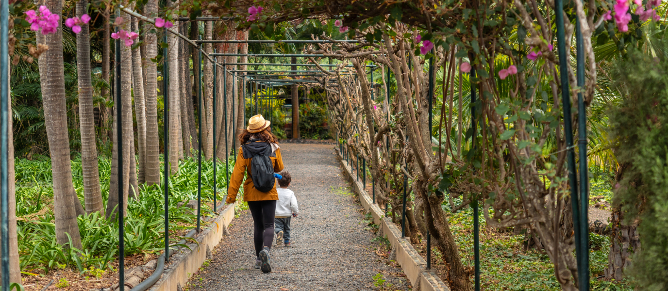 Qué ver en Arucas, la cuna del auténtico ron de Canarias