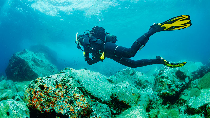 buceo en fuerteventuraa