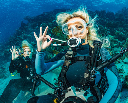 buceo en fuerteventura