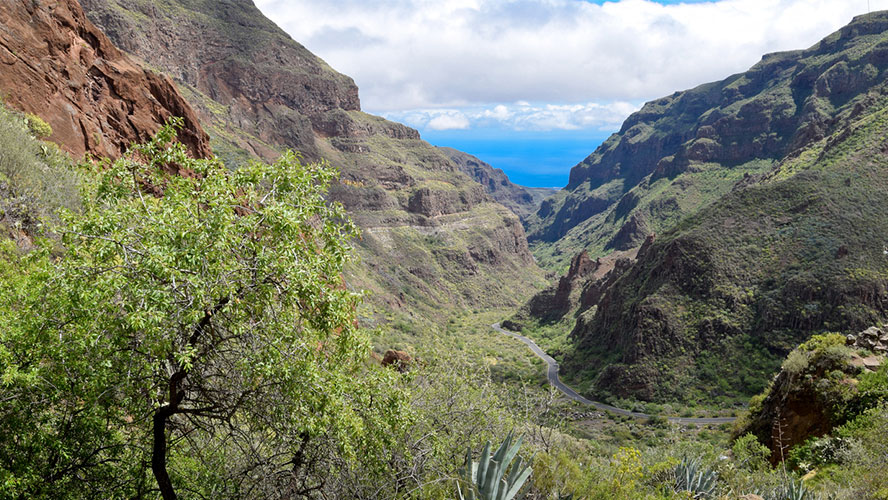 Barranco de Guayadeque