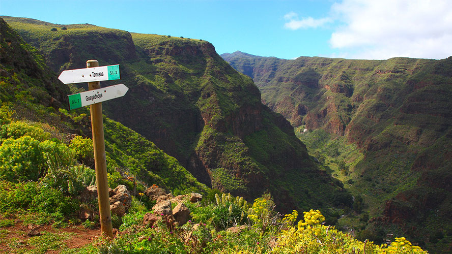 gran-canaria-barranco-guayadeque