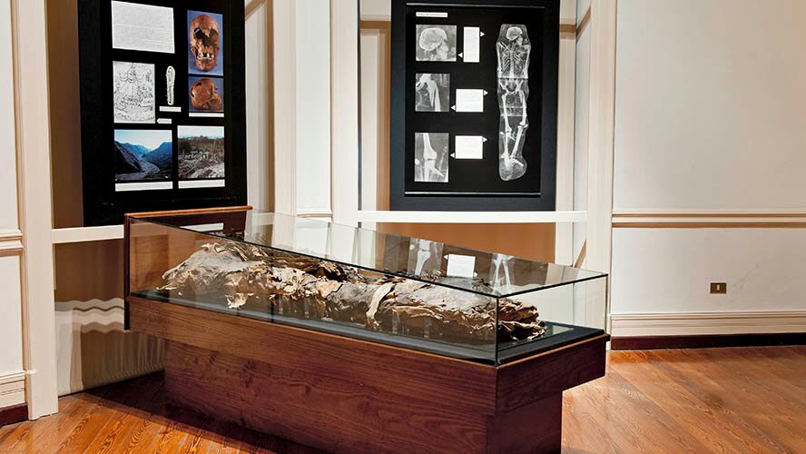 Preparacion cadaver Museo Canario