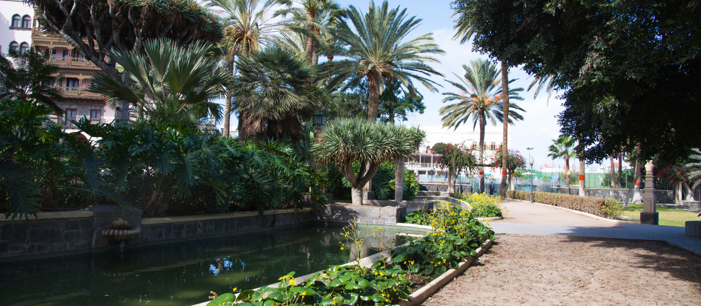 Parque Rural de Doramas, el reino de la laurisilva