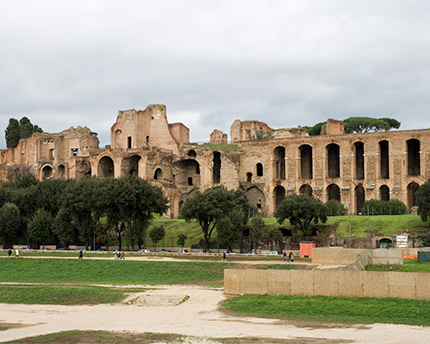 Arena History