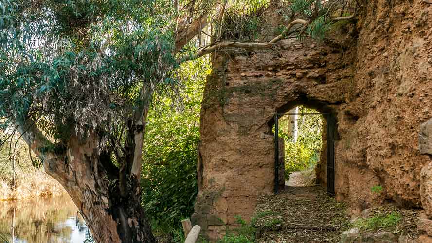 puerta interior de niebla