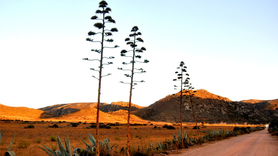 desierto cabo de gata