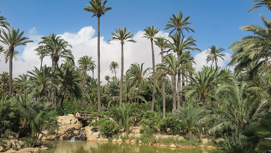 El Palmeral de Alicante