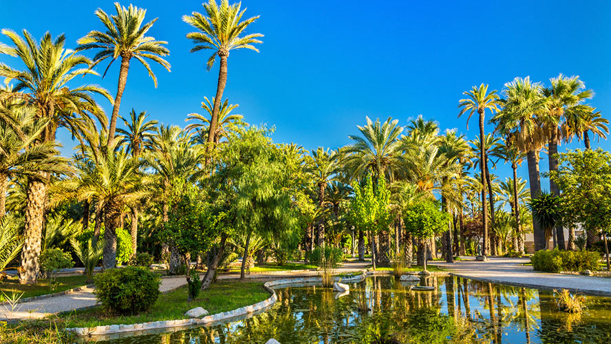 El Palmeral de Elche