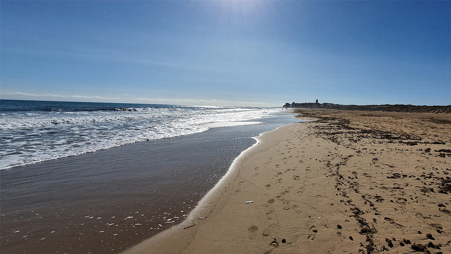 playa-de-arenales-del-sol