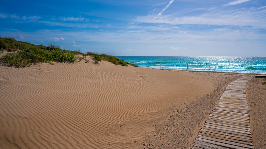 playa-de-el-pinet